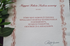 nagyne_fekete_szilvia_miniszteri_elimero_oklevel
